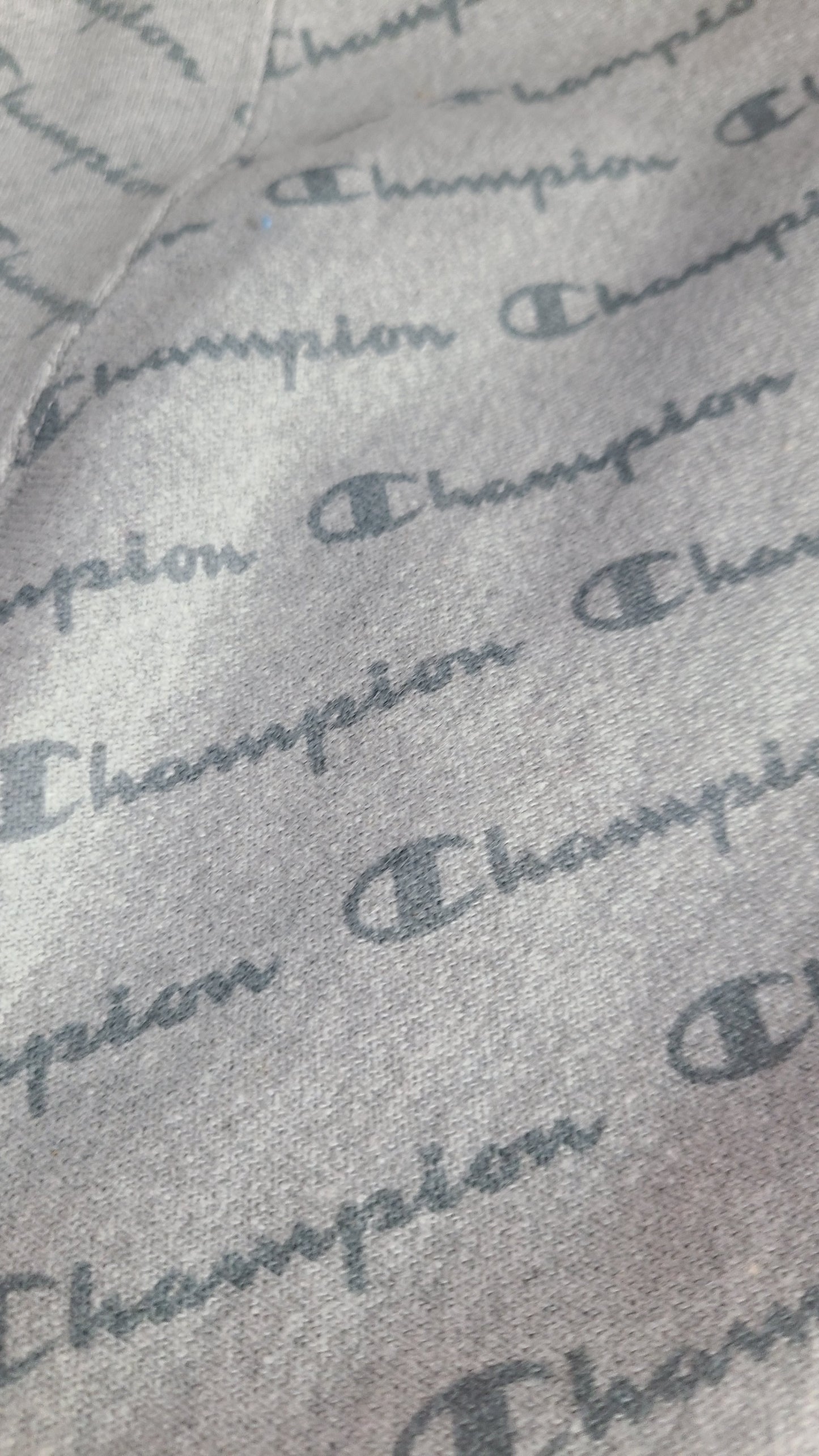 Champion Lady's Sweatshirt (J110)